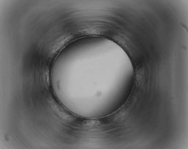 X0000103450398200809191753