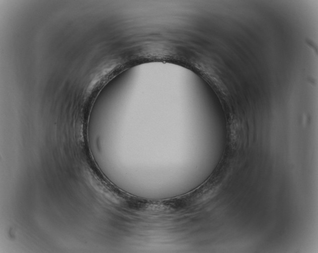 X0000103450399200809191753