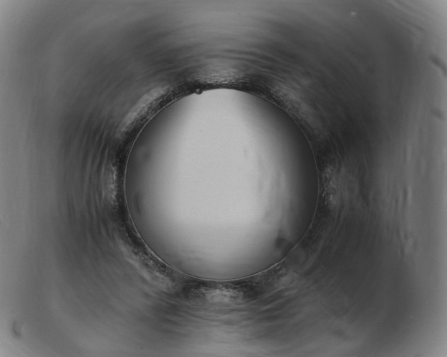 X0000103450400200809191753