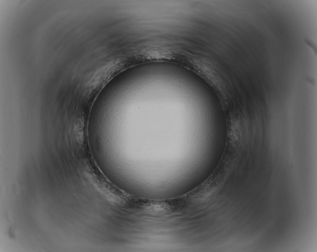 X0000103450402200809191753