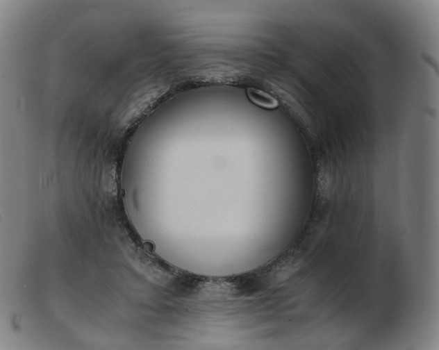 X0000103450403200809191753