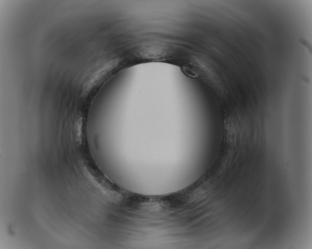 X0000103450404200809191753
