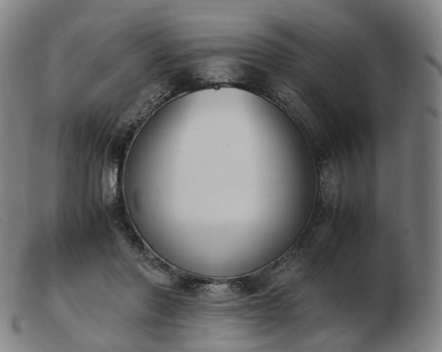 X0000103450406200809191753