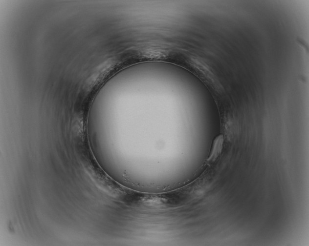 X0000103450407200809191753