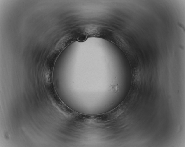 X0000103450408200809191753