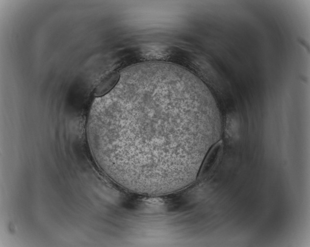 X0000103450409200809191753
