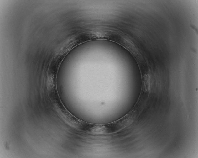 X0000103450410200809191753