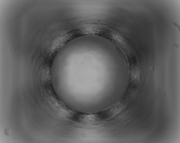 X0000103450411200809191753