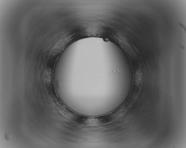 X0000103450413200809191752