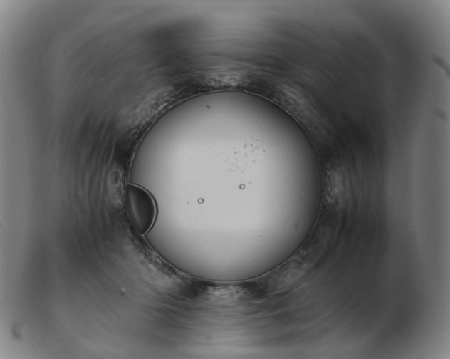 X0000103450414200809191752