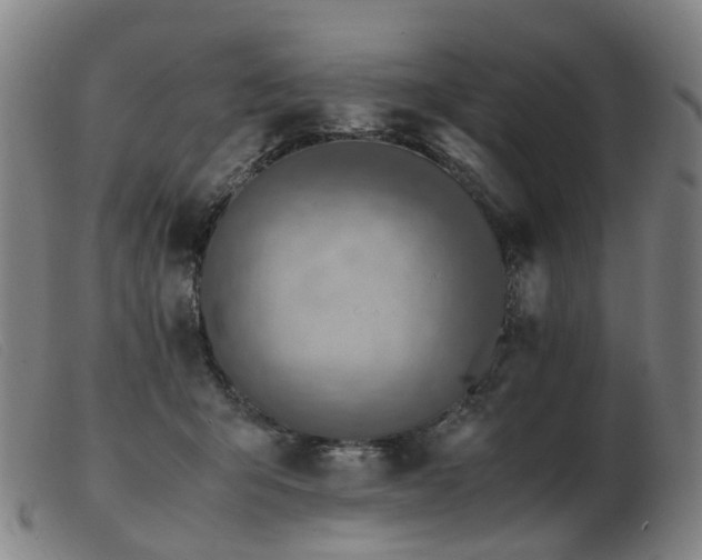 X0000103450415200809191752