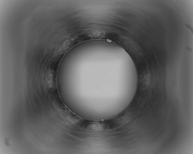 X0000103450416200809191752