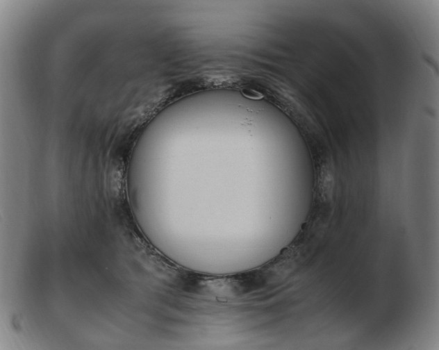 X0000103450417200809191752