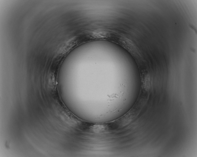 X0000103450418200809191752