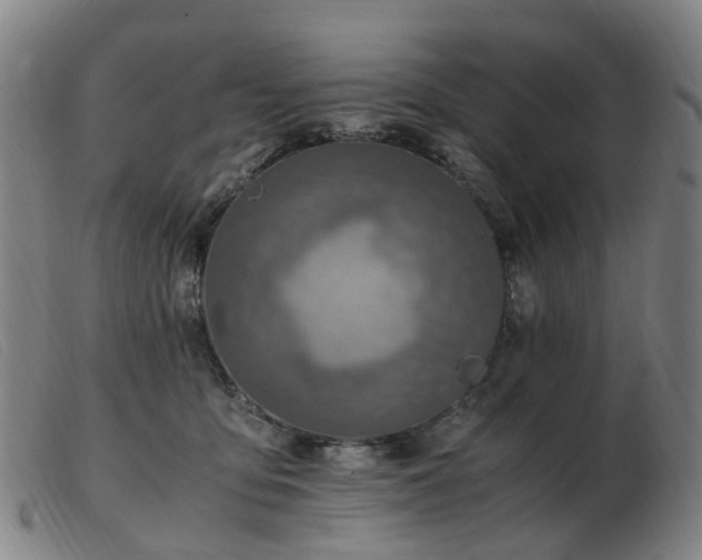 X0000103450419200809191752