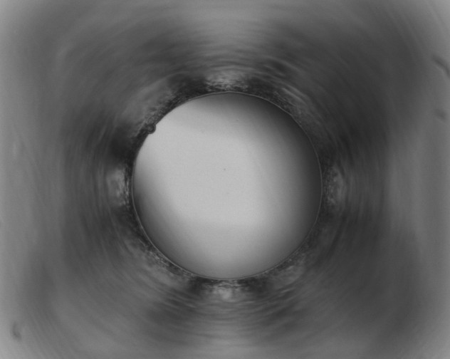 X0000103450420200809191752