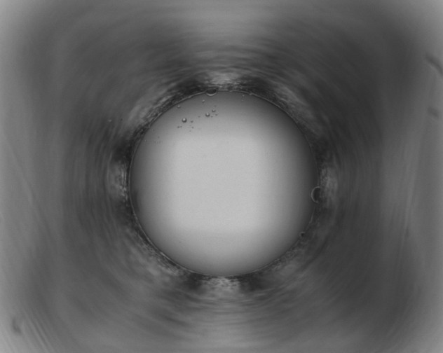 X0000103450421200809191752