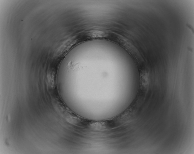 X0000103450422200809191752