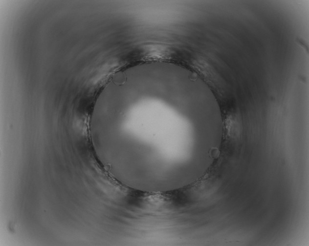 X0000103450423200809191752