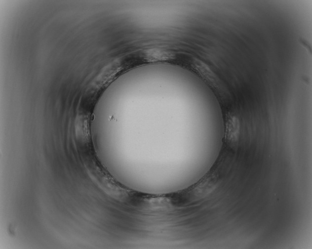 X0000103450426200809191752