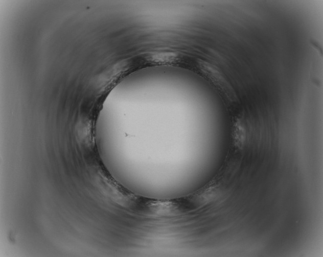 X0000103450428200809191752