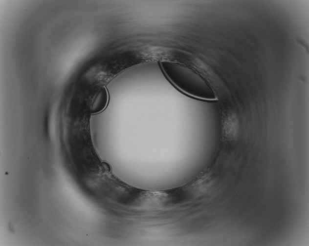X0000103450429200809191752