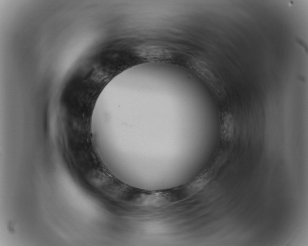X0000103450430200809191752