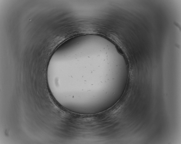 X0000103450433200809191752