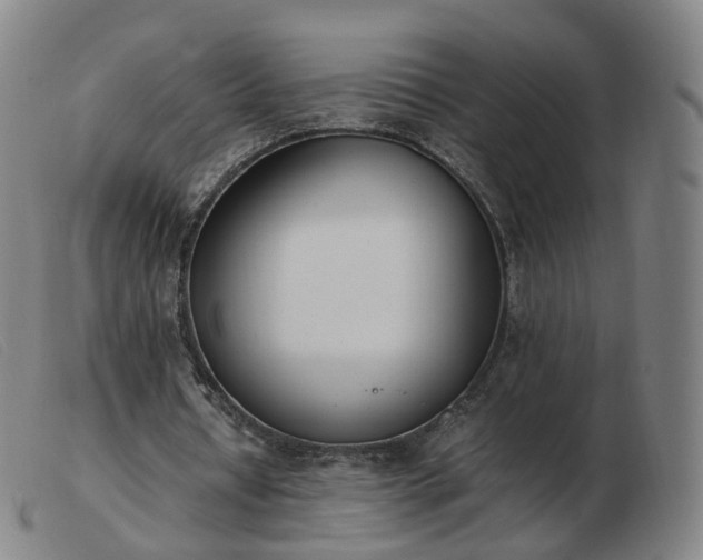 X0000103450434200809191752