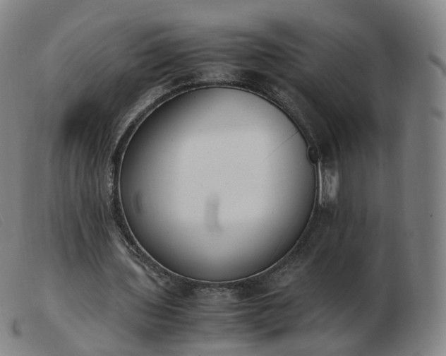 X0000103450435200809191752