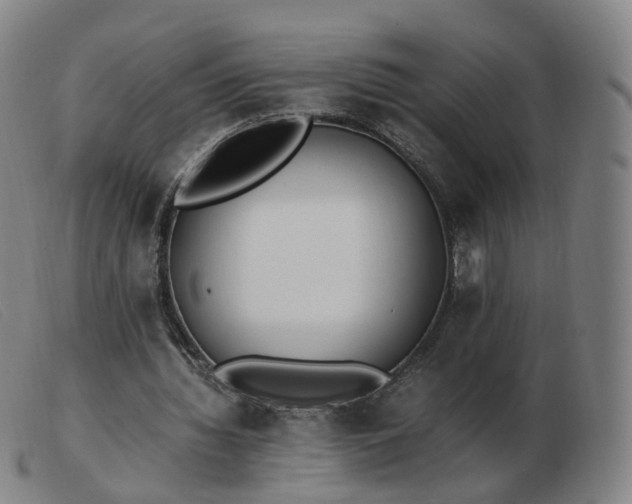 X0000103450436200809191752