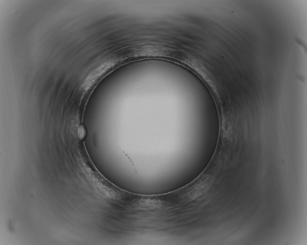 X0000103450437200809191752
