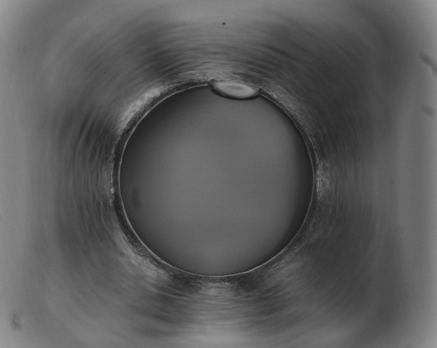 X0000103450438200809191752