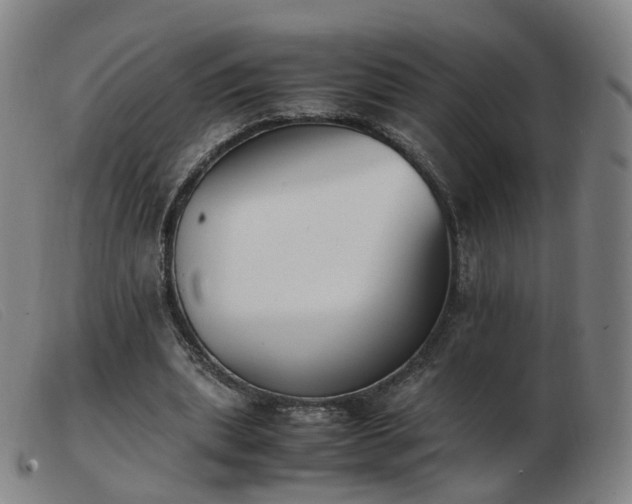 X0000103450439200809191752