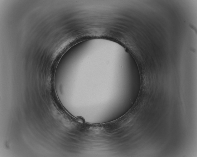 X0000103450440200809191752