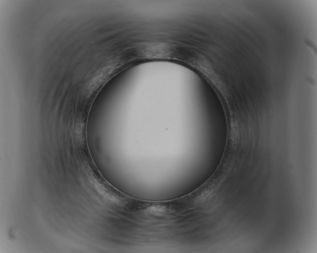 X0000103450441200809191752