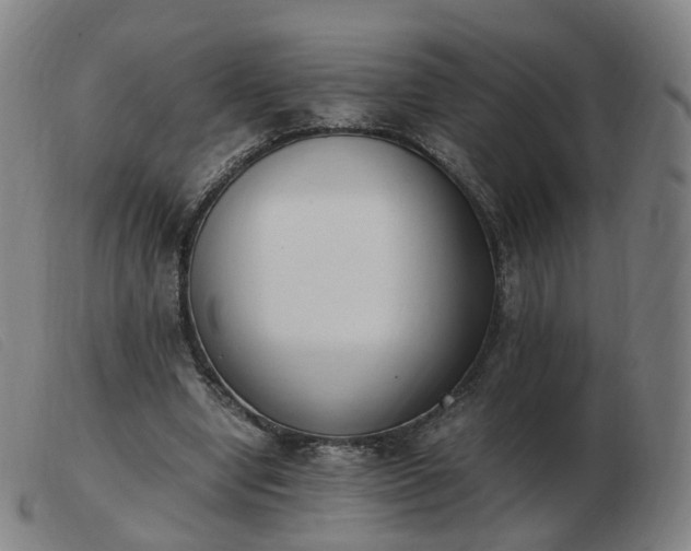 X0000103450442200809191752