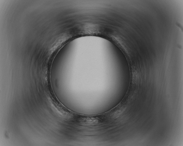 X0000103450443200809191752
