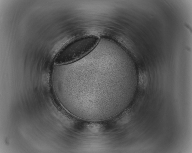 X0000103450444200809191752