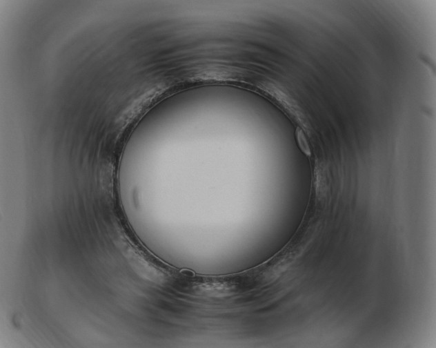 X0000103450445200809191752