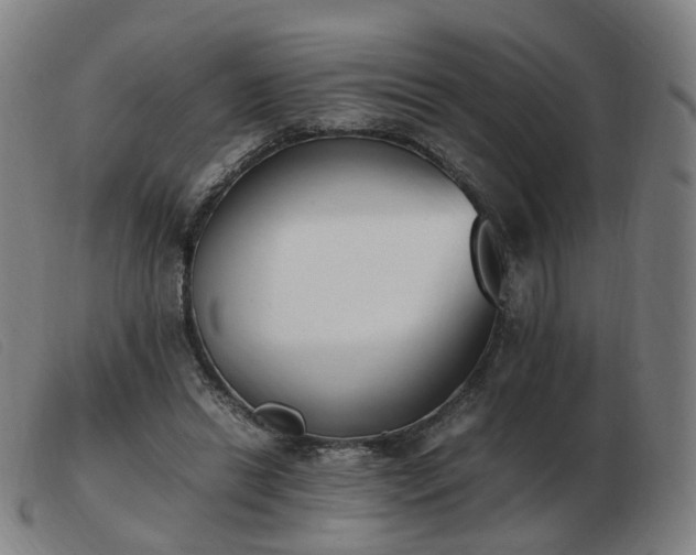 X0000103450446200809191752
