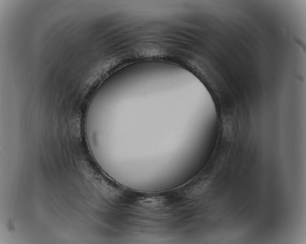 X0000103450447200809191752