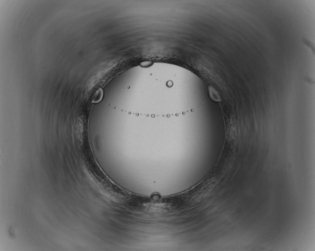 X0000103450448200809191752