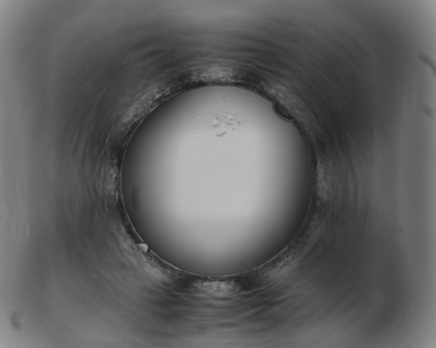 X0000103450449200809191752