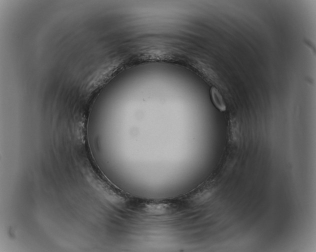 X0000103450450200809191752