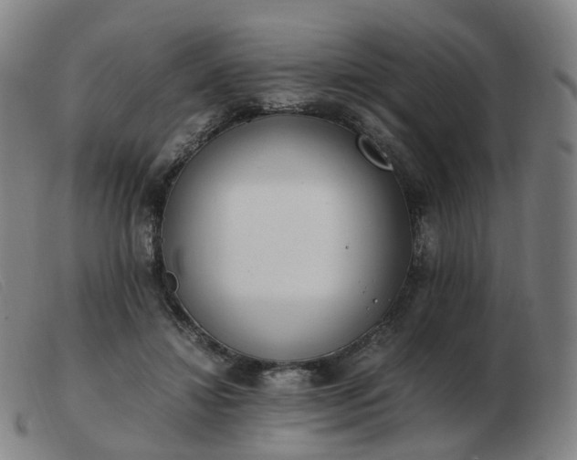 X0000103450452200809191752