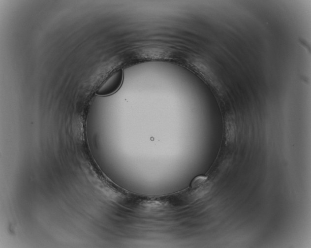 X0000103450453200809191752