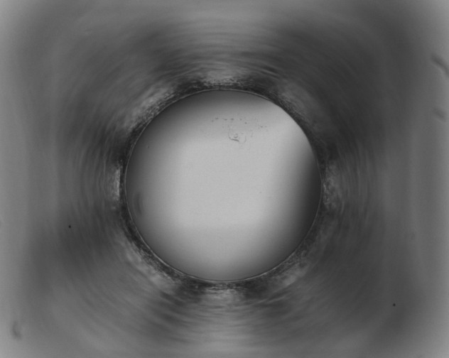 X0000103450454200809191752