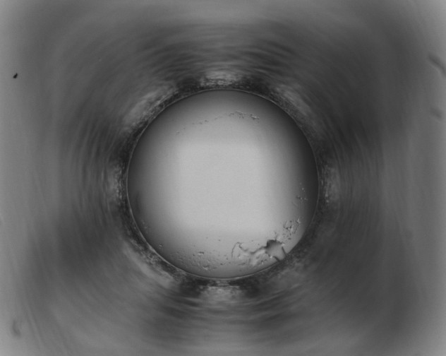 X0000103450455200809191752