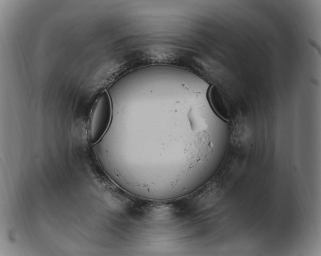 X0000103450456200809191752